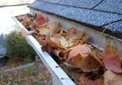 leaves in gutter